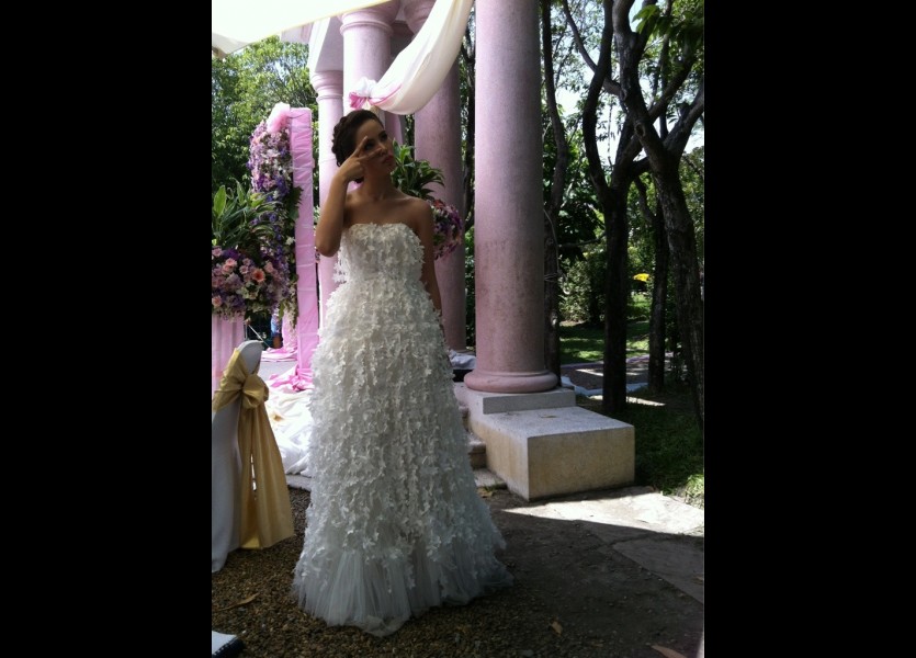 ชุดแต่งงานดารา