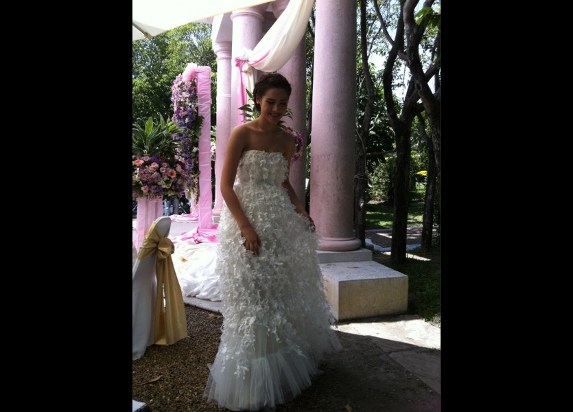 ชุดแต่งงานดารา