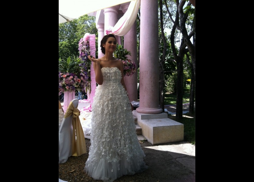 ชุดแต่งงานดารา