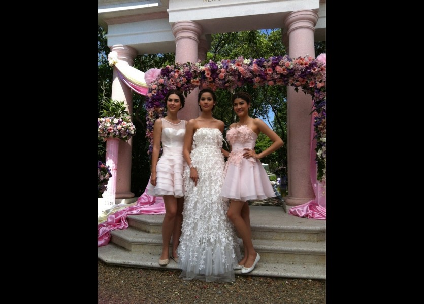 ชุดแต่งงานดารา