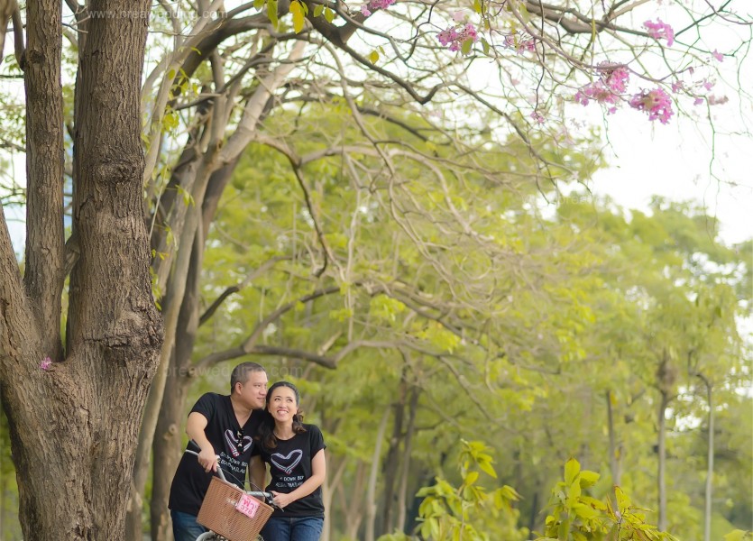 ร้านเวดดิ้ง นนทบุรี