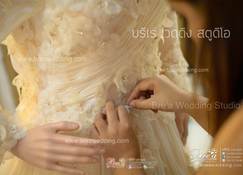 ตัดชุดแต่งงานอิสลาม