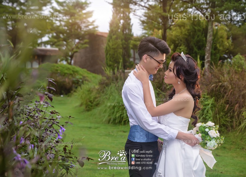 ถ่ายรูปแต่งงานที่ ลาทอสคาน่า Pre wedding Latoscana