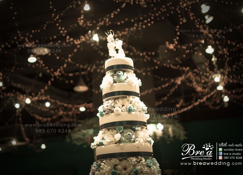 ถ่ายรูปแต่งงาน ตึกช้างBREA WED [candid] 7.08.2014 (40 of 460)นนทบุรี