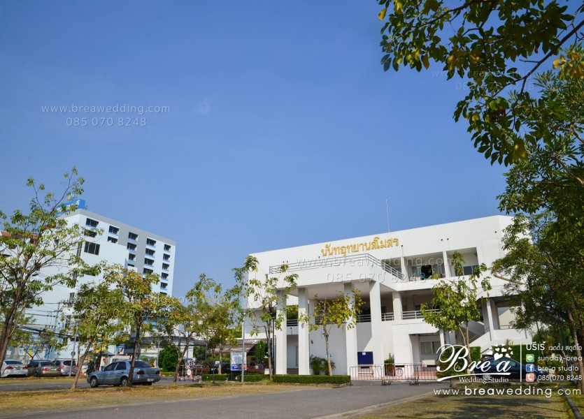 ถ่ายรูปแต่งงานBRE 3703นนทบุรี