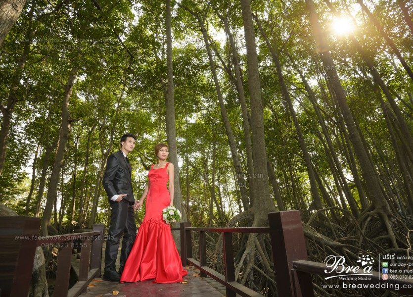 หาช่างภาพงานแต่ง รับถ่ายภาพพรีเวดดิงทะเล รับถ่ายภาพงานแต่ง ช่างภาพงานแต่งงาน ถ่ายภาพ พรีเวดดิ้งอุทยานประจวบ