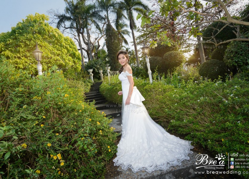 ถ่ายรูปแต่งงาน สวนสามพราน โรสการ์เด้น พรีเวดดิ้ง หาช่างภาพงานแต่ง