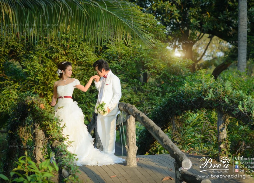 ถ่ายรูปแต่งงาน สวนสามพราน โรสการ์เด้น พรีเวดดิ้ง หาช่างภาพงานแต่ง