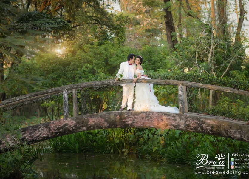 ถ่ายรูปแต่งงาน สวนสามพราน โรสการ์เด้น พรีเวดดิ้ง หาช่างภาพงานแต่ง
