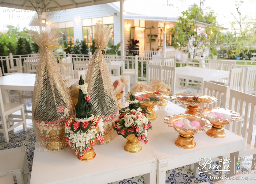 หาช่างภาพงานแต่ง ถ่ายรูปแต่งงาน ช่างภาพงานแต่ง ถ่ายภาพ พรีเวดดิ้ง