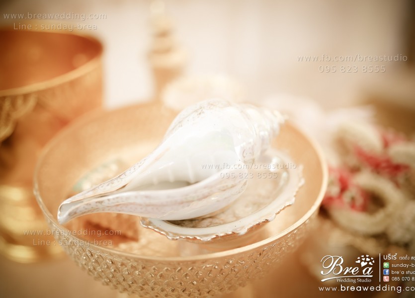 หาช่างภาพงานแต่ง ถ่ายรูปแต่งงาน ช่างภาพงานแต่ง ถ่ายภาพ พรีเวดดิ้ง