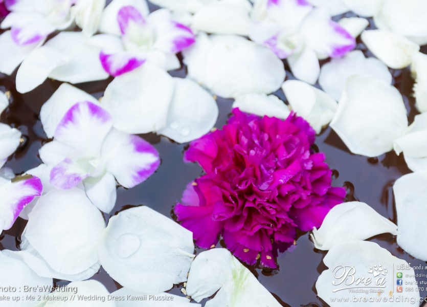 ถ่ายรูปแต่งงาน เรือนเจ้าสาว รัชวิภา หาช่างภาพ นนทบุรี ร้านชุดแต่งงาน