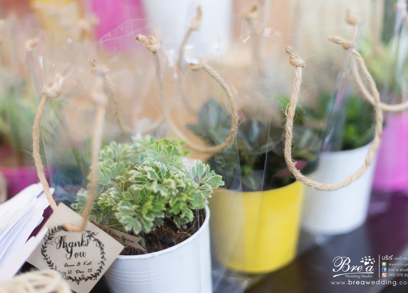 งานแต่งงาน ซับดิโอ subdio ชุดแต่งงาน ถ่ายรูปแต่งงาน นนทบุรี สตูดิโอแต่งงาน