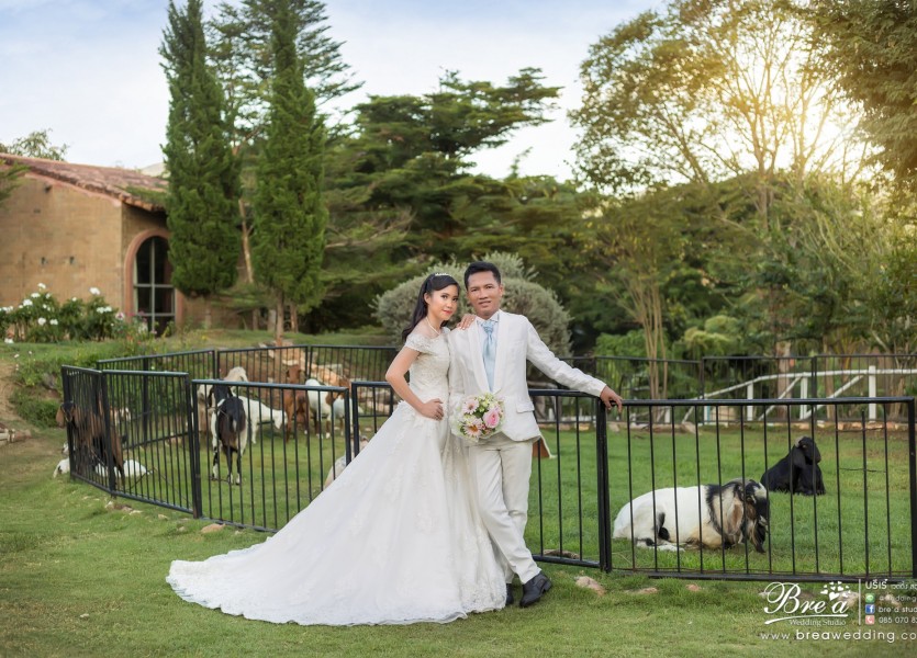 ถ่ายรูปแต่งงาน หาช่างภาพ พรีเวดดิ้ง สวนผึ้ง ราชบุรี เวดดิ้ง นนทบุรี