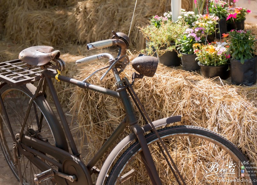 ชุดแต่งงาน ชุดไทยแต่งงาน ถ่ายรูปแต่งงาน ราชบุรี งานแต่งงาน นนทบุรี