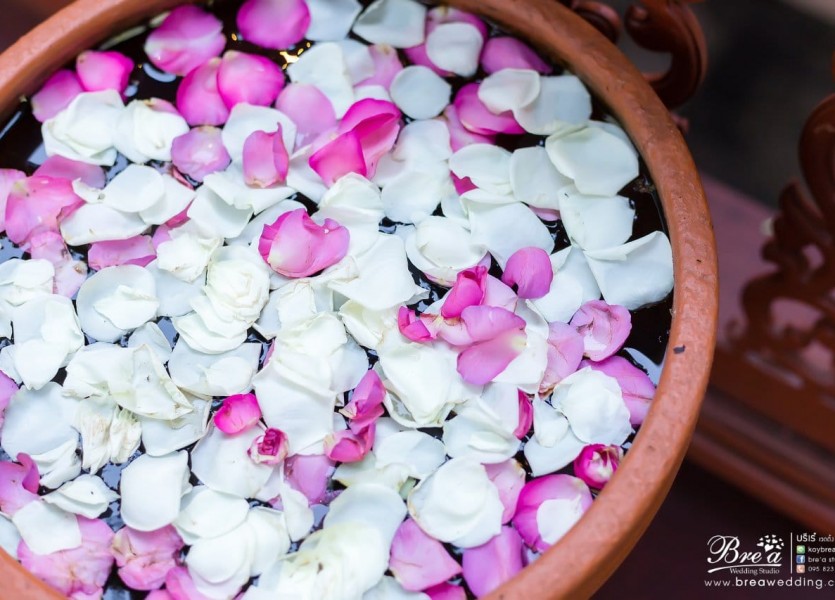 เรือนเจ้าสาวปากเกร็ด แต่งงาน ชุดแต่งงาน ร้านเวดดิ้ง นนทบุรี