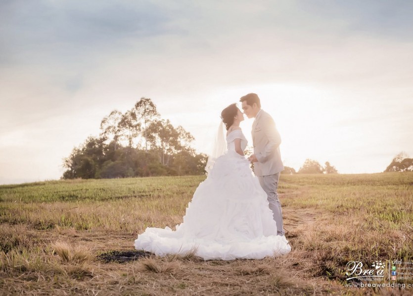 เขาใหญ่พรีเวดดิ้ง7292หาช่างภาพ VT ถ่ายรูปแต่งงาน