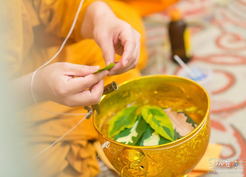 จัดงานแต่งงานที่บ้าน 015 ชุดแต่งงาน