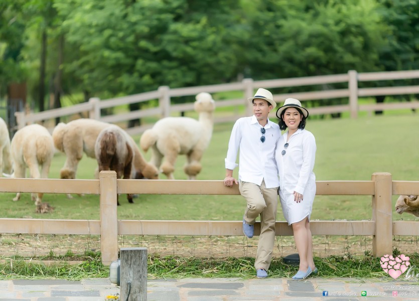 Preweddingpromoพรีโม่0230 เขาใหญ่Thepudgarden