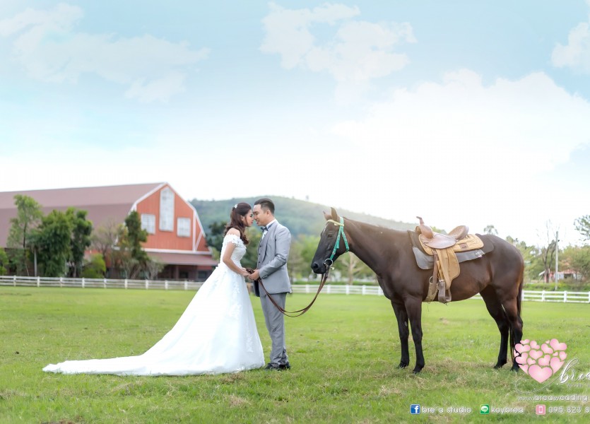 เวโรน่าทับลาน 8115 preweddingverona ถ่ายรูปแต่งงานชุดแต่งงานนนทบุรี